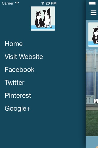 Back Bay Veterinary Hospital screenshot 2