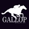 Gallop Magazine is a feel-good magazine for everybody fascinated by horse racing