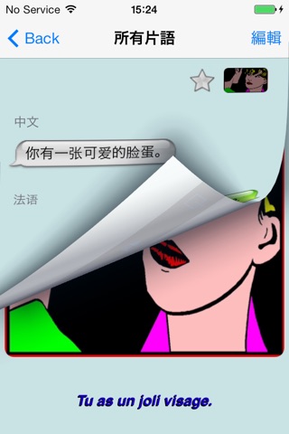 法语 - Talking Chinese to French Phrase Book screenshot 2