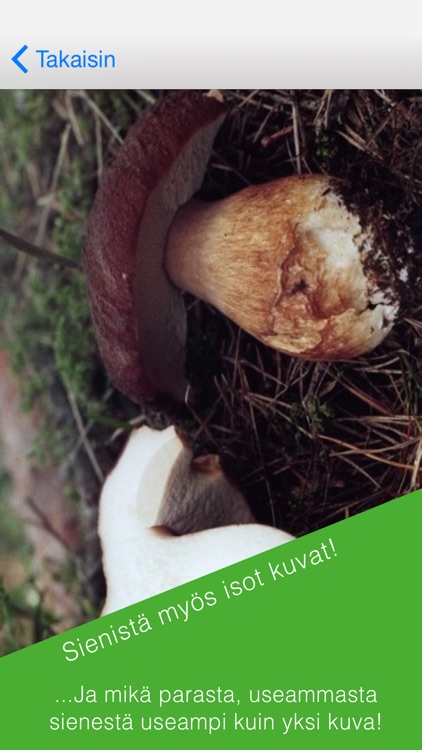 Sienikirja screenshot-3