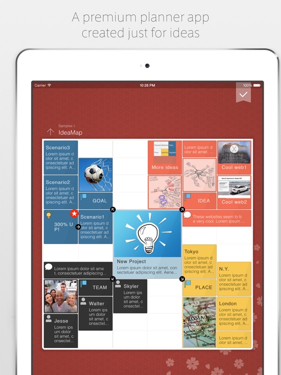 IdeaGrid for iPad