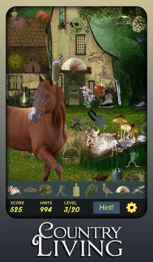 Hidden Object - Country Living