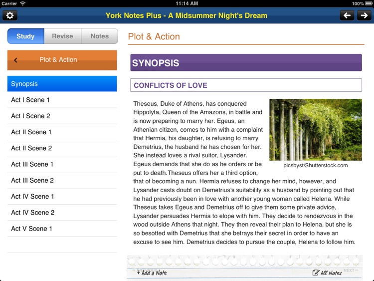 A Midsummer Night's Dream York Notes AS and A2 for iPad