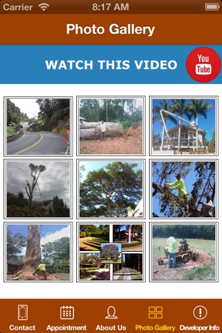 Branch Out Tree Service - Maui Hawaii - Tree Trimming, Removal and  Emergency Service screenshot 4