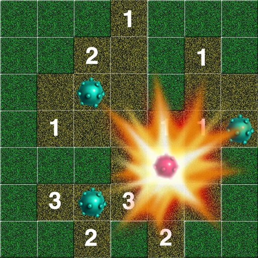Minesweeper Search & Destroy Mission iOS App