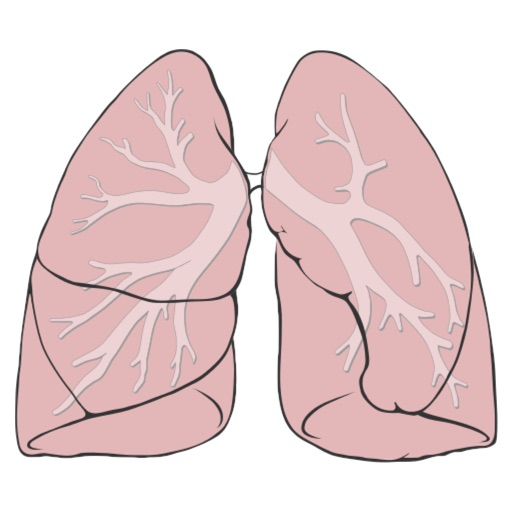 7Breaths - Respiratory rate calculator icon