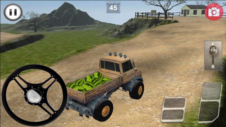 Truck Delivery 3D screenshot-4