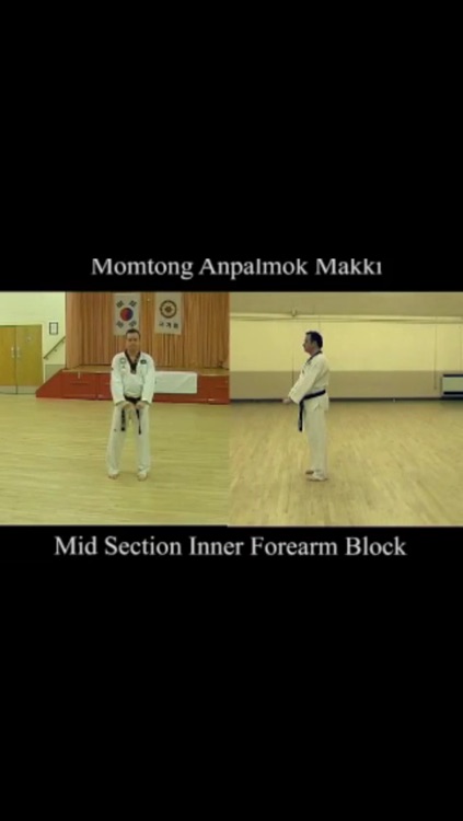 Taekwondo Blocks