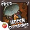 Rainy Day Dream - Hidden Difference Game FREE