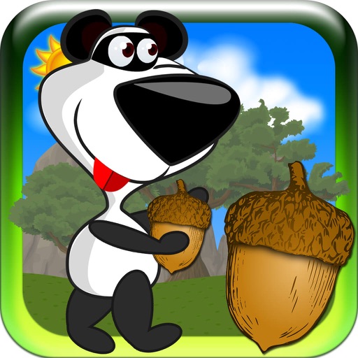 Bear Crazy Run: Superb Runaround Free Game iOS App