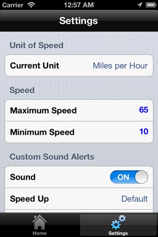 Check My Speed screenshot 2