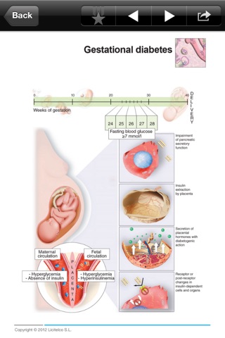 Miniatlas Diabetes Mellitus screenshot 4