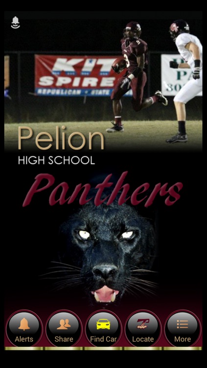 Pelion High School Athletics