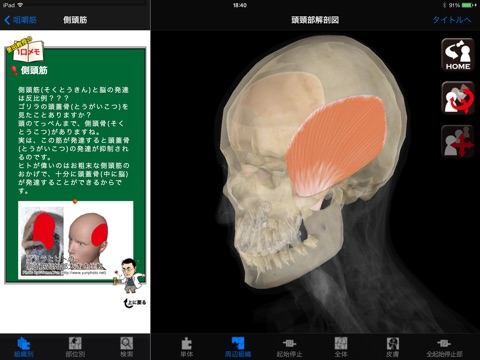 DS ANATOMY HEAD & NECK screenshot 3