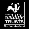 Northumberland Wildlife Trust