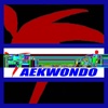 U. S. Academy Of Taekwondo