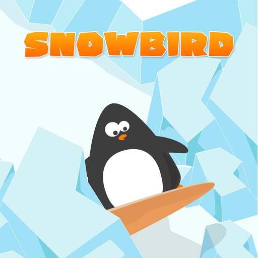 SnowBird Game iOS App