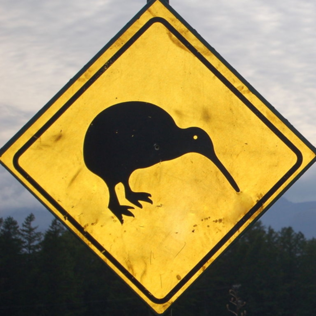 New Zealand's South Island Travel Guide icon