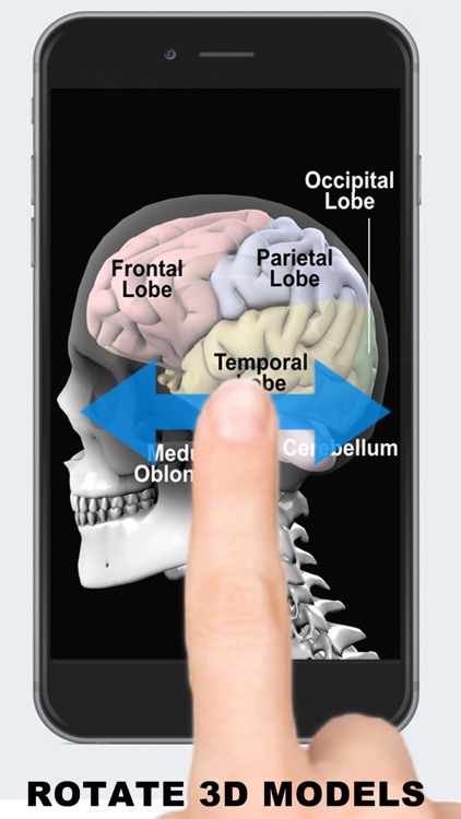 Anatomy 3D - Organs screenshot-3
