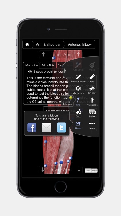 Muscle System Pro III - iPhone Edition screenshot-4