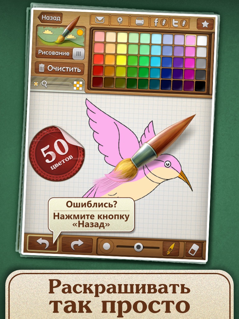 Drawing lessons: Learn how to draw birds! screenshot 4