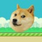 Doge Ball