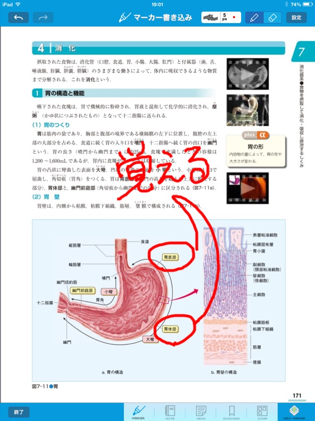 Digital Nursing Graphicus 2013(圖2)-速報App