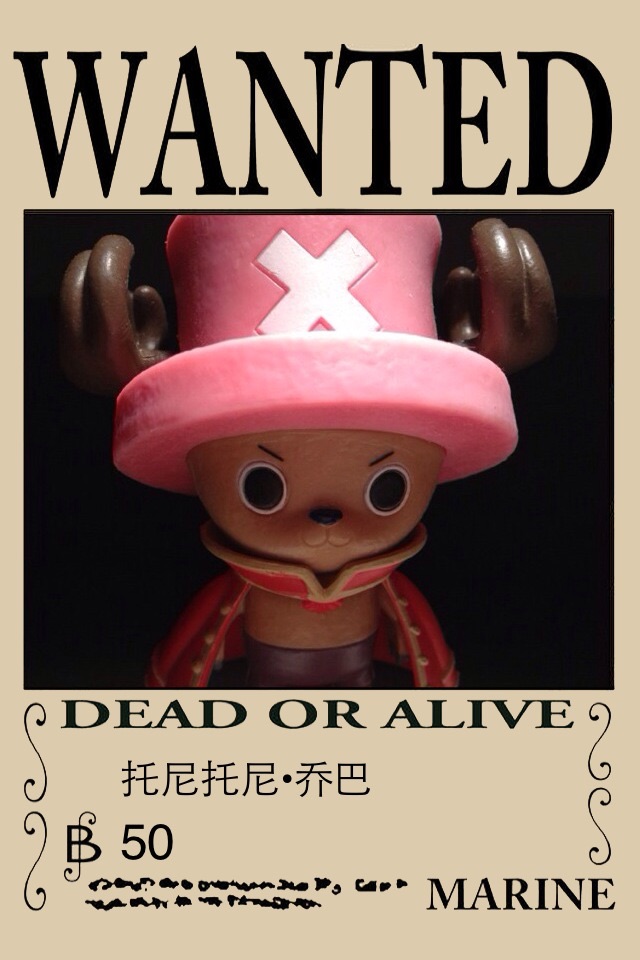 OP Poster Maker - An One Piece style pirate wanted poster maker screenshot 4