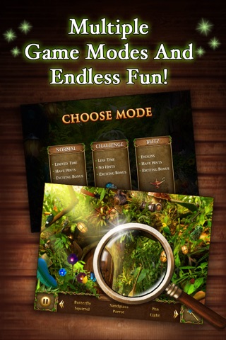 Hidden Objects: Enchanted screenshot 2