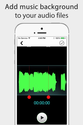 Audio Notes - Recorder, Notes, Memos, Photos screenshot 3