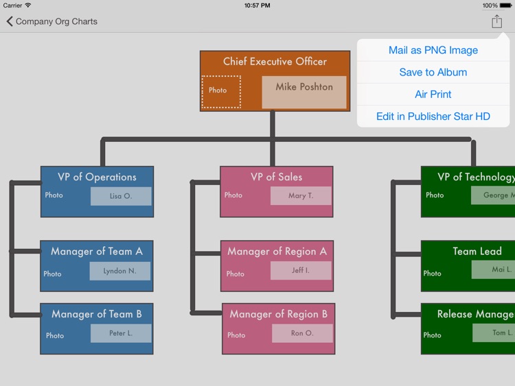 Company Org Charts - Templates for Publisher Star HD