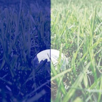 BALLFINDER Golf Ball Finder: Find Golf Balls via Your Camera! PC 용