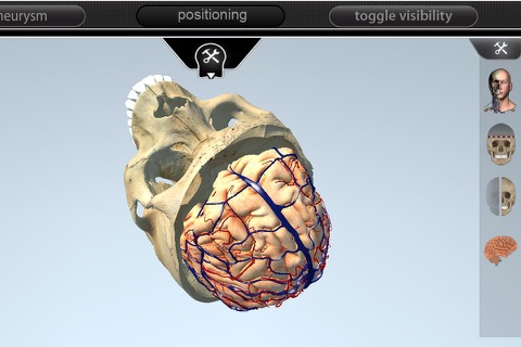 NeuroView screenshot 2