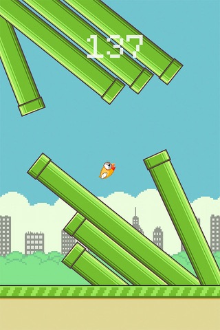 Clumsy Bird- Flying Flappy Wings screenshot 4