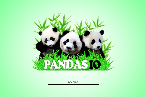 Pandas IO screenshot 3