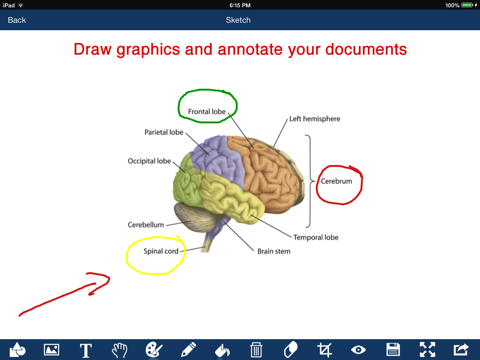 Скриншот из Office Reader: For Microsoft Office