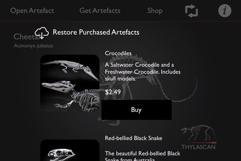 Artefacts screenshot 2