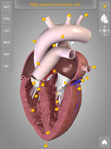 心臓解剖 Heart 3D Atlas of Anatomyのおすすめ画像4