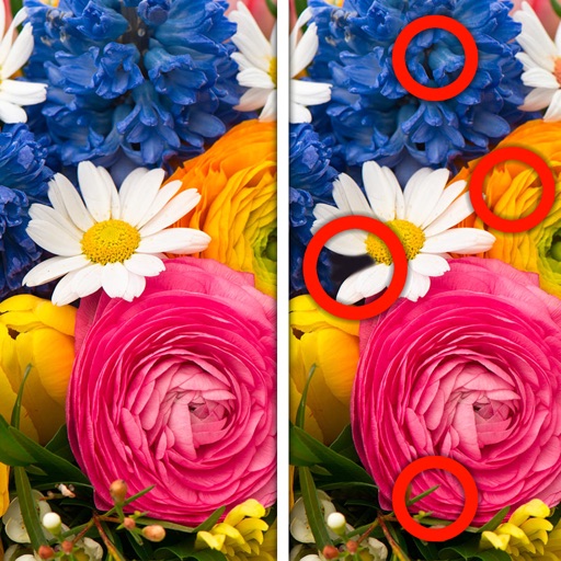 Find the difference - The more beautiful pictures full iOS App