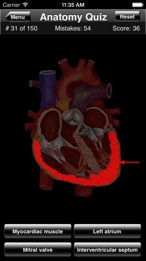 Anatomy Quiz(圖3)-速報App