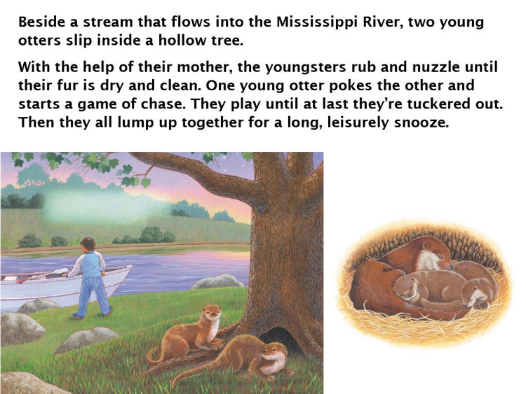 River Beds: Sleeping in the World's Rivers