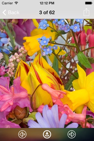 Spring Flowers Wallpaper: Best HD Wallpapers screenshot 3