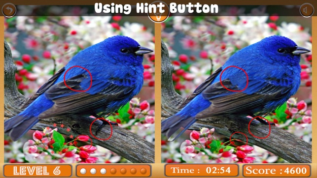 Birds Spot The Differences(圖4)-速報App