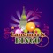 This app enables users to play bingo,slots and casino games from landmarkbingo