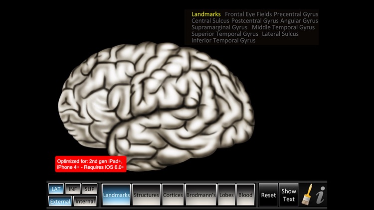 Cerebrum ID