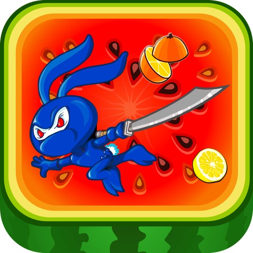 Fruit Fighters icon