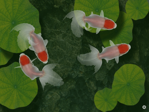 Beautiful Fish Screensaver Lifestyle Fish Screensaver