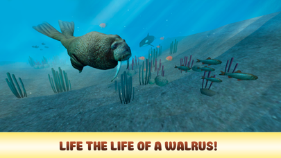 Arctic Walrus Surviva... screenshot1