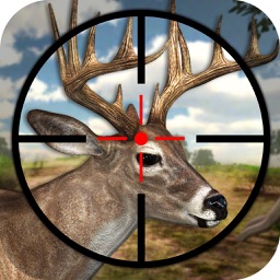 Deer Hunting 3D Game