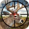 Deer Hunting 3D Game